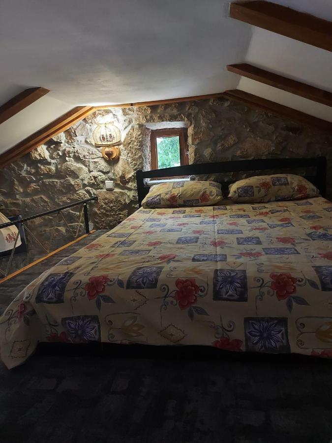 Dama Holiday home *